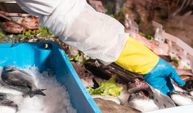 Formazione pescatore