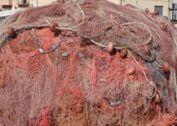 Recovery Fund settore ittico