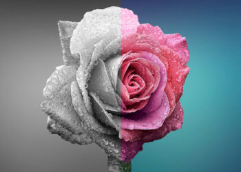 acquacoltura biomar finestra