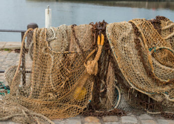 acquacoltura pesca cipriota