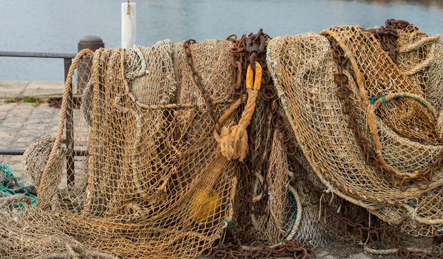 acquacoltura pesca cipriota