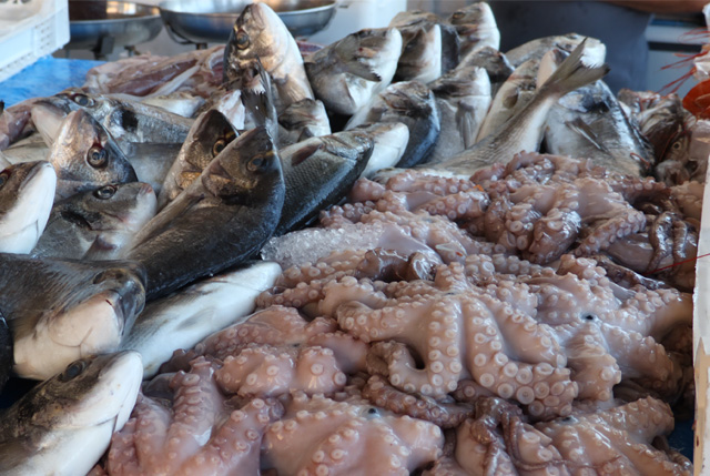 buone ragioni mangiare pesce
