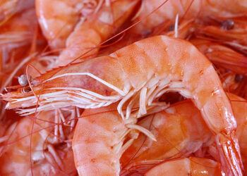 crostacei da tavola