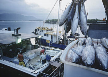 diritti dei lavoratori