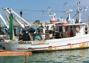 fermo pesca Puglia