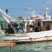 fermo pesca Puglia