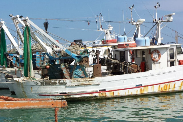 fermo pesca Puglia