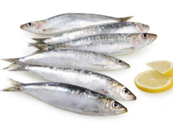 pesce sindrome ovaio policistico