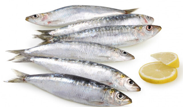 pesce sindrome ovaio policistico