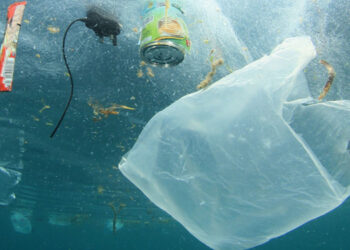 raccolta plastica mare