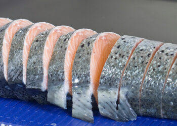 showroom virtuale pesce marelec