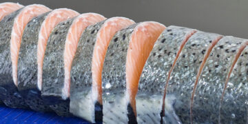 showroom virtuale pesce marelec
