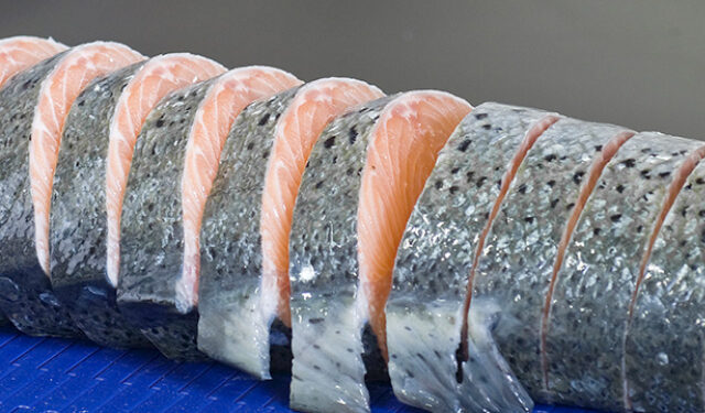 showroom virtuale pesce marelec