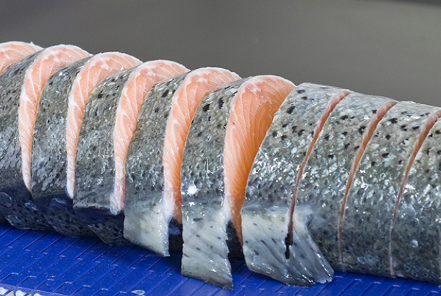 showroom virtuale pesce marelec