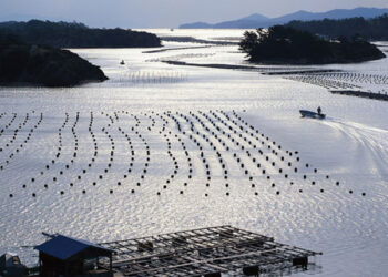 FAO webinar acquacoltura mondiale