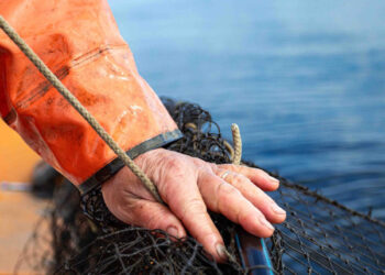 Pesca sostenibile MSC