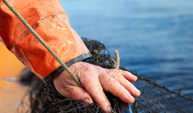 Pesca sostenibile MSC