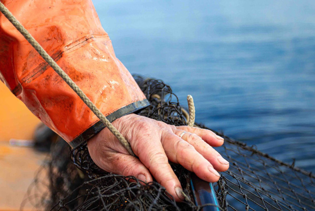 Pesca sostenibile MSC