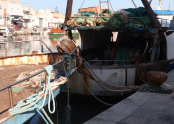 cambiale pesca ISMEA