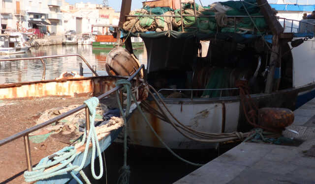 cambiale pesca ISMEA