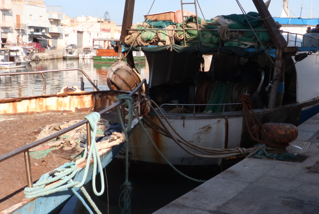 cambiale pesca ISMEA