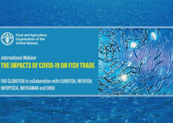 commercio mondiale pesce