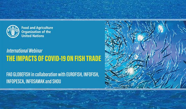 commercio mondiale pesce