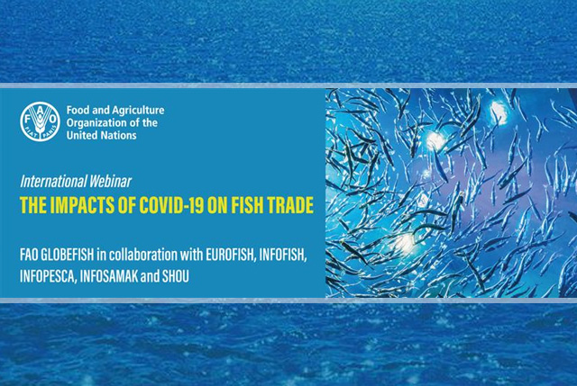 commercio mondiale pesce