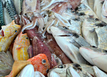 consumi alimentari famiglie