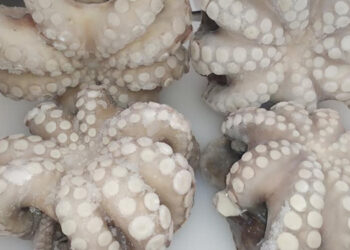 inflazione prezzi pesce surgelato