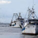 pesca