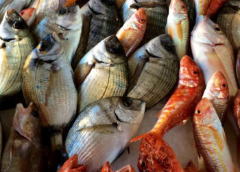 pandemia aumento vendite prodotti ittici