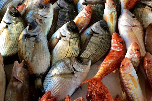 pandemia aumento vendite prodotti ittici