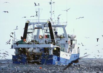 Pesca d'altura Atlantico nord orientale