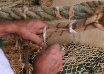 pesca garanzia salariale