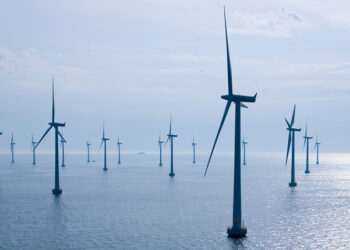 BlueEco: l'iniziativa pionieristica per proteggere la vita marina dal rumore