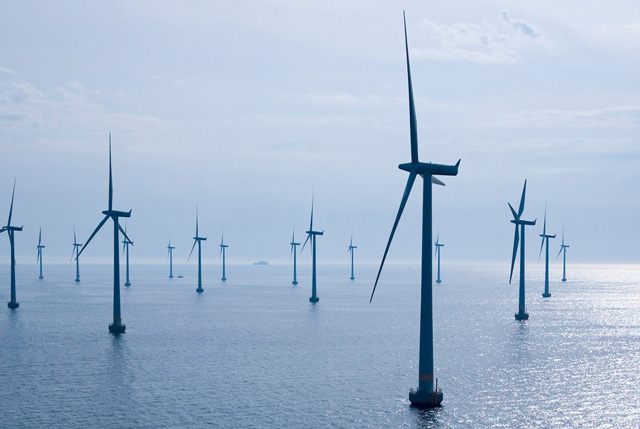 BlueEco: l'iniziativa pionieristica per proteggere la vita marina dal rumore