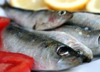 pesce azurro anemia gravidanza