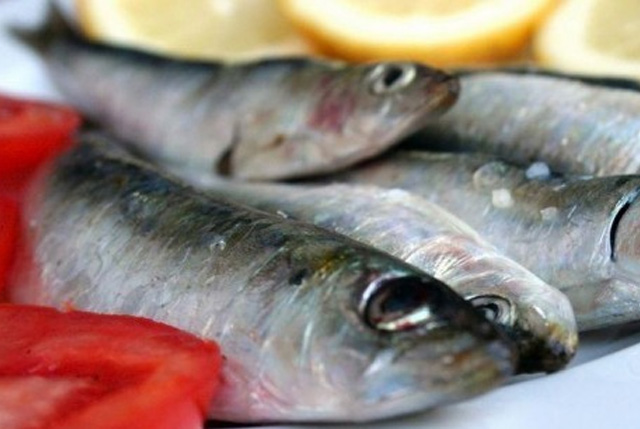 pesce azurro anemia gravidanza