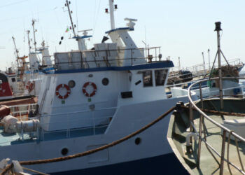 regole controllo pesca UE