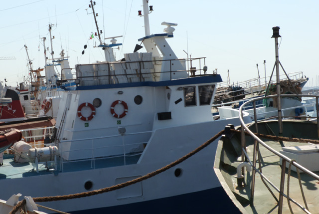 regole controllo pesca UE
