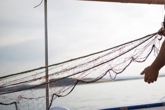 riduzione attività pesca Mediterraneo