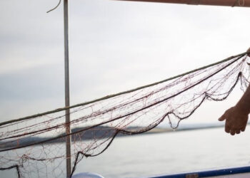 riduzione attività pesca Mediterraneo