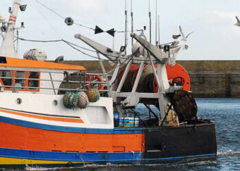 tagli sforzo pesca Mediterraneo