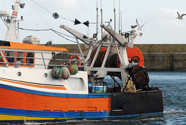 tagli sforzo pesca Mediterraneo