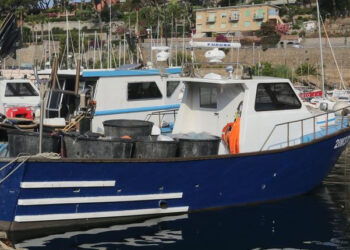 testo unificato pesca acquacoltura