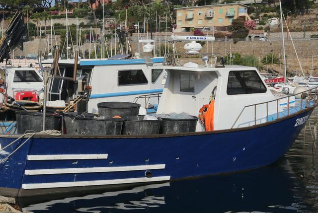 testo unificato pesca acquacoltura