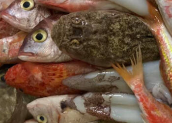 23° settimana gravidanza