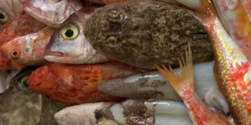 23° settimana gravidanza