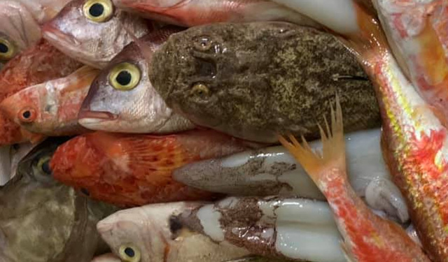 23° settimana gravidanza